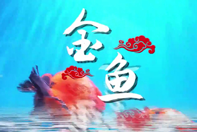 金魚歡躍，流光溢彩！_400.jpg